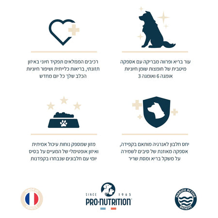 Food for adult dogs over 7 years old | 14 kilograms