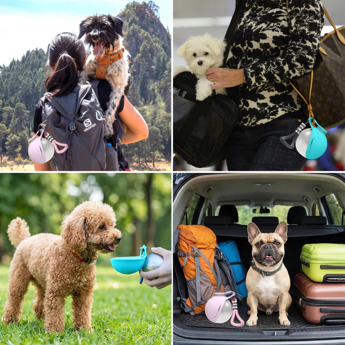 Portable Dog Water Bottle